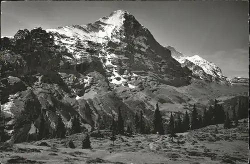 Grindelwald Grindelwald Bussalp Eiger Jungfrau * / Grindelwald /Bz. Interlaken