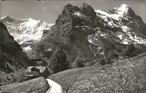 Grindelwald Grindelwald Fiescherwand Eiger x / Grindelwald /Bz. Interlaken