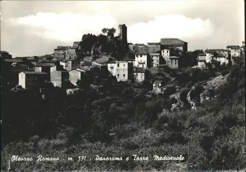 Olevano Romano Olevano Romano Torre Medioevale * / Italien /