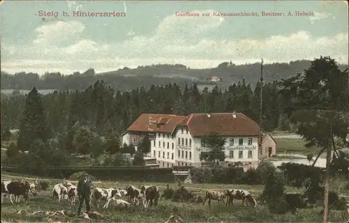 Steig Hinterzarten Gasthaus Pension zur Ravennaschlucht Viehherde