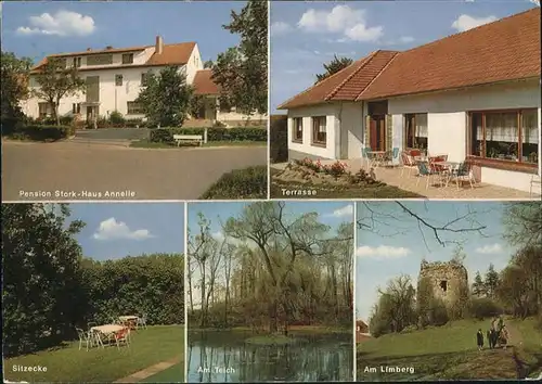 Bad Holzhausen Luebbecke Pension Stork Haus Annelie Terrasse Teich Limberg Ruine Wiehengebirge Kat. Preussisch Oldendorf