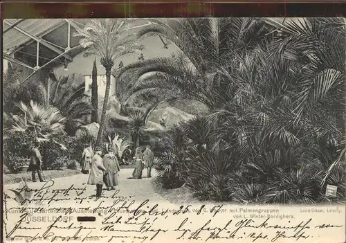 Ausstellung Kunst Gartenbau Duesseldorf 1904  Palmengruppen 