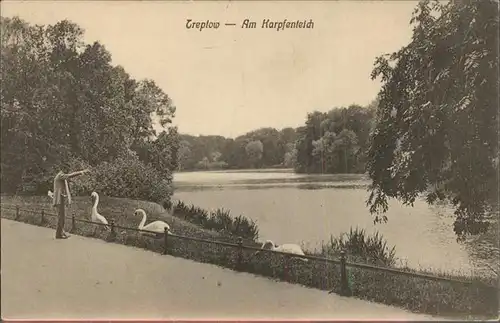 Treptow Berlin Partie am Karpfenteich Schwan / Berlin /Berlin Stadtkreis