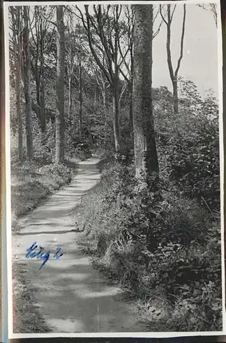 Nienhagen Ostseebad Waldweg / Nienhagen /Bad Doberan LKR