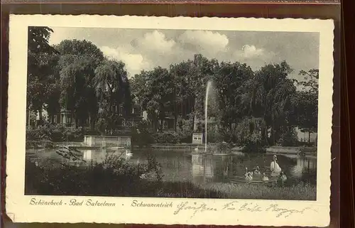 Schoenebeck Salzelmen Schwanenteich Springbrunnen