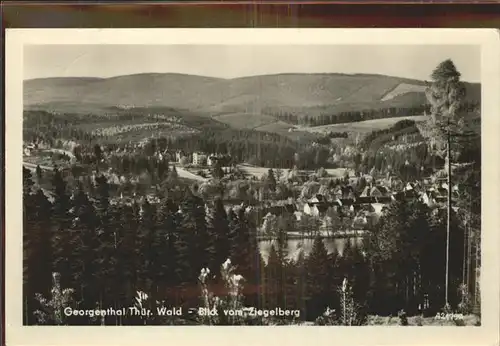 Georgenthal Blick vom Ziegelberg Kat. Georgenthal