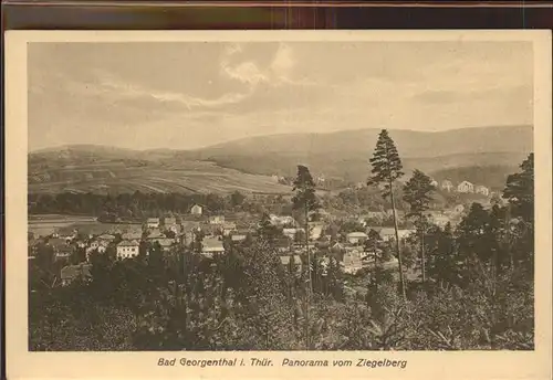 Georgenthal Panorama vom Ziegelberg Kat. Georgenthal