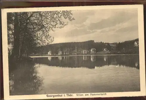 Georgenthal Villen am Hammerteich Kat. Georgenthal