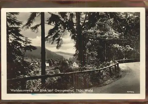 Georgenthal Waldsaumweg  Kat. Georgenthal