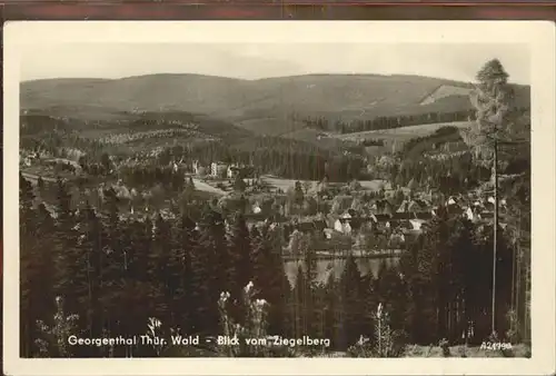 Georgenthal Ziegelberg Kat. Georgenthal