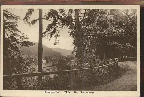Georgenthal Herzogsweg Kat. Georgenthal