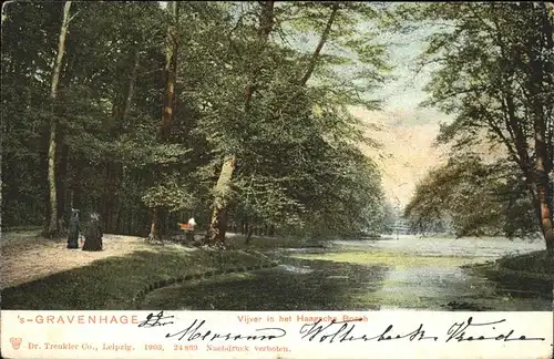 Gravenhage Vijver in het Haagsche Bosch Kat. Niederlande