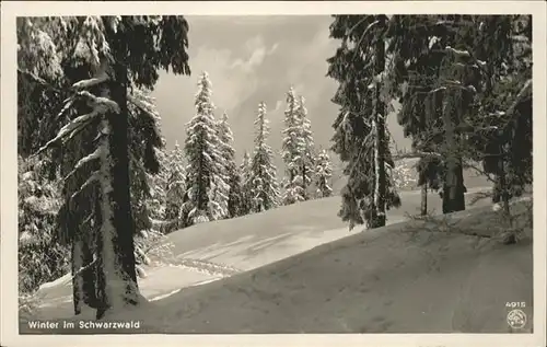 Verlag Franz Nr. 4915 Feldberg Schwarzwald  Kat. Titisee Neustadt