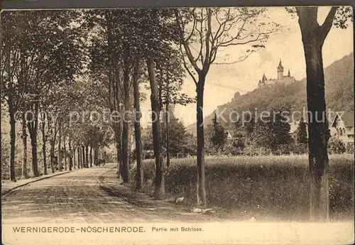 Wernigerode Noeschenrode Waldweg mit Schloss