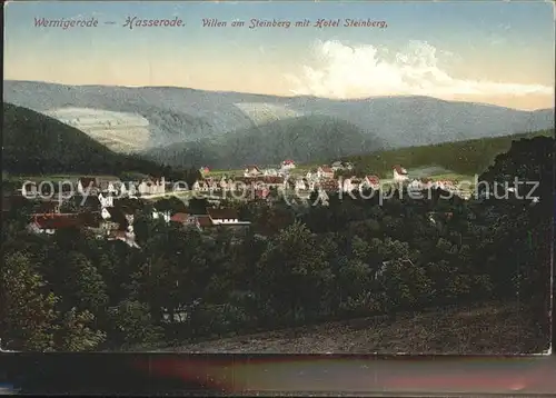 Wernigerode Hasserode Villen am Steinberg