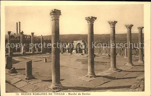 Timgad Ruines romaines Marche de Sertius Kat. Algerien