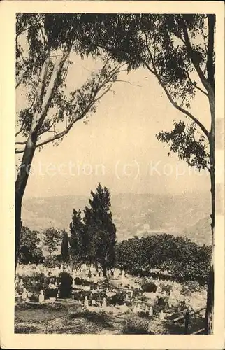 Alger Algerien Cimetiere d'EL Kettar Fetes du Centenaire en 1930 / Algier Algerien /