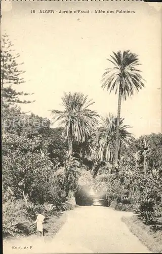 Alger Algerien Jardin d'essai Allee des Palmiers / Algier Algerien /
