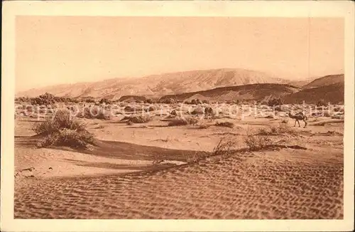 Algerien Region d In Belrem Fetes du Centenaire en 1930 Kamel Kat. Algerien