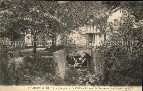 Blida Algerien Gorges de la Chiffa Hotel du Ruisseau des Singes Kat. Algerien