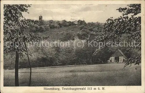 dg23297 Teutoburgerwald Huenenburg Kategorie. Detmold Alte Ansichtskarten