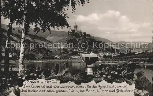 Cochem Mosel Moselpanorama mit Burg Kat. Cochem