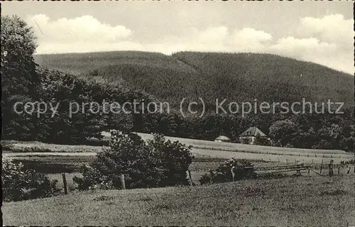 dg27784 Teutoburgerwald Doerenberg  Kategorie. Detmold Alte Ansichtskarten