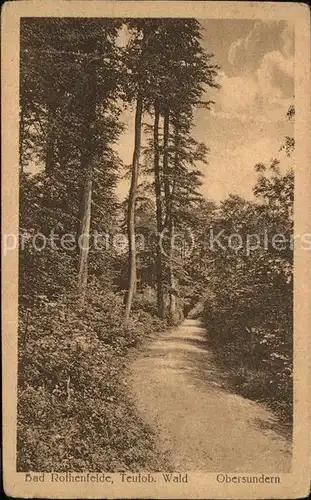 dg27812 Teutoburgerwald Obersundern Wanderweg Kategorie. Detmold Alte Ansichtskarten