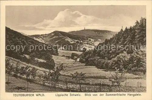 dg28092 Teutoburgerwald Lippische Schweiz Kategorie. Detmold Alte Ansichtskarten