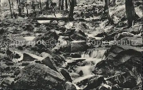 dg30607 Teutoburgerwald Silberbachtal Kategorie. Detmold Alte Ansichtskarten