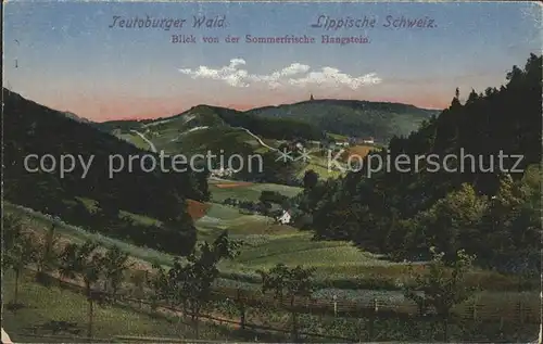 dg30801 Teutoburgerwald Lippische Schweiz Sommerfrische Hangstein Kategorie. Detmold Alte Ansichtskarten