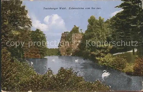 dg30966 Teutoburgerwald Externsteine See Schwan Kategorie. Detmold Alte Ansichtskarten