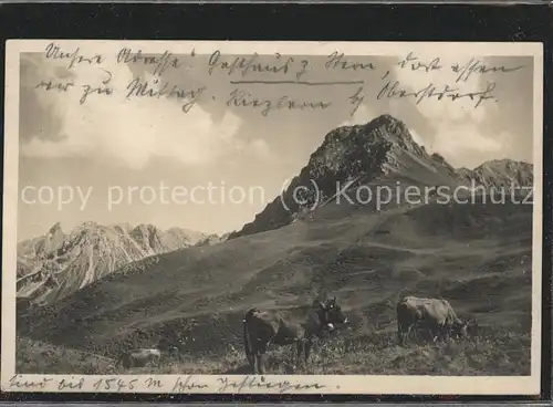 Riezlern Kleinwalsertal Vorarlberg Kanzelwand Kuehe Kat. Mittelberg