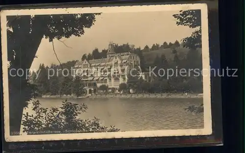 Vierwaldstaettersee SZ Schlosshotel Hertenstein Kat. Brunnen