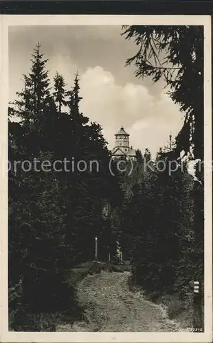 Boehmerwald Aussichtsturm am Panzer Kat. Tschechische Republik