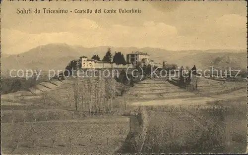 Tricesimo Castello del Conte Valentinis Kat. Udine