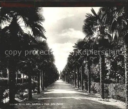 Riva del Garda Viale delle Palme /  /Trento