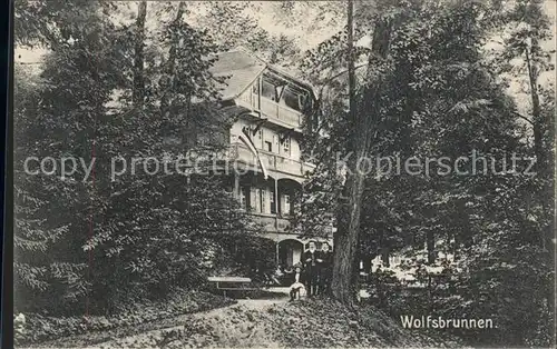 Wolfsbrunnen Seebach  / Ottenhoefen im Schwarzwald /Ortenaukreis LKR