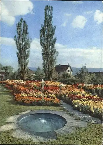 Zuerich Unter Engstriugen, Gartenschau / Zuerich /Bz. Zuerich City