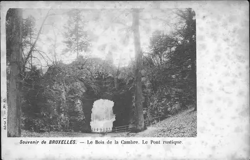 hw11446 Bruxelles Bruessel Bois Camnre Pont rustique Kategorie.  Alte Ansichtskarten