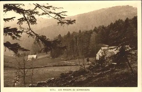 Schneewiller Les Maisons