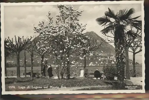 Lago di Lugano Monte Bre