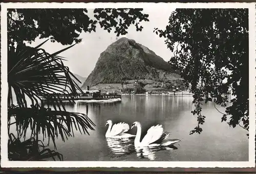 Lago di Lugano Monte S. Salvatore Schwaene