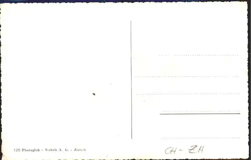 Zuerich Strassenbahn Segelboote See / Zuerich /Bz. Zuerich City