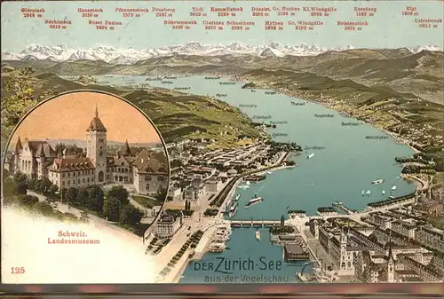 Zuerich See aus Vogelschau / Zuerich /Bz. Zuerich City