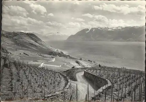 kk08654 Lavaux VD Lac Leman Kategorie.  Alte Ansichtskarten