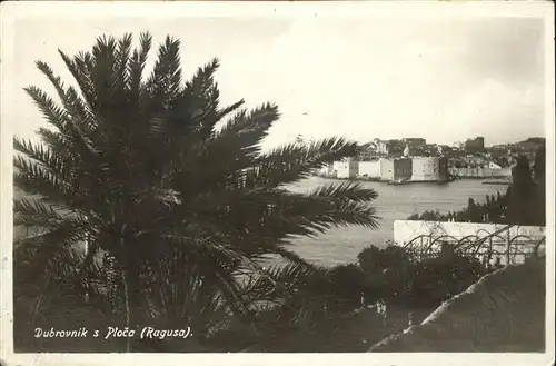 kk12195 Ploce Dubrovnik Teilansicht an der Kueste Kategorie. Dubrovnik Alte Ansichtskarten