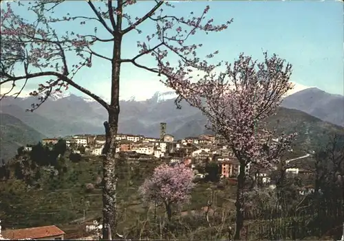 Coreglia Antelminelli Toscana Panorama Fruehlingsbluete