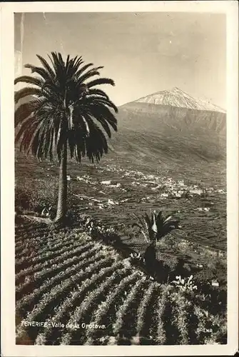 Orotava Tenerife Valle de la Orotava