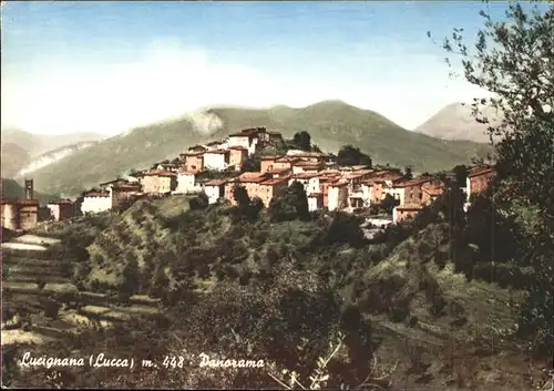 Lucignano Toscana Panorama